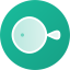 FeelFish